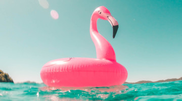 An example image in order to demonstrate BlurHash; an inflatable toy on water.